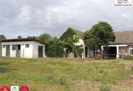 10 Pferdestellplätze – Charmantes Bauernhaus für Pferdeliebhaber