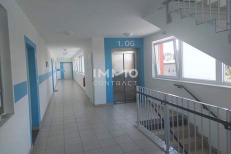 Bürgerwaldstraße 1, Kilb, Wohnung-miete, 947,16,€, 3233 Melk