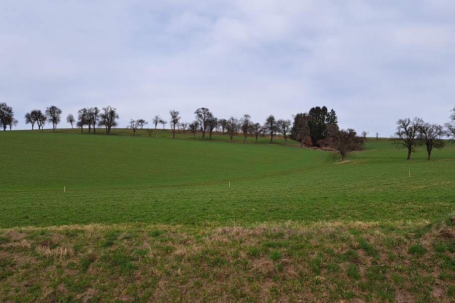 Die Gelegenheit! Günstiger Baugrund in St. Johann in Engstetten/St. Peter/Au., Grund und Boden-kauf, 82.980,€, 3352 Amstetten