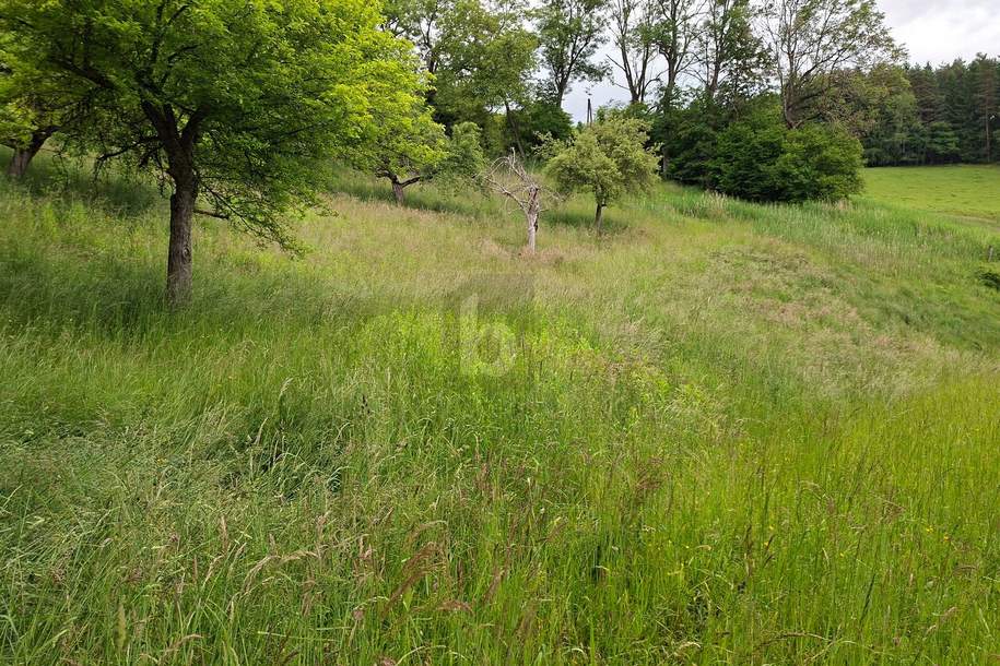 SEHR VIEL POTENTIAL, Grund und Boden-kauf, 9560 Feldkirchen