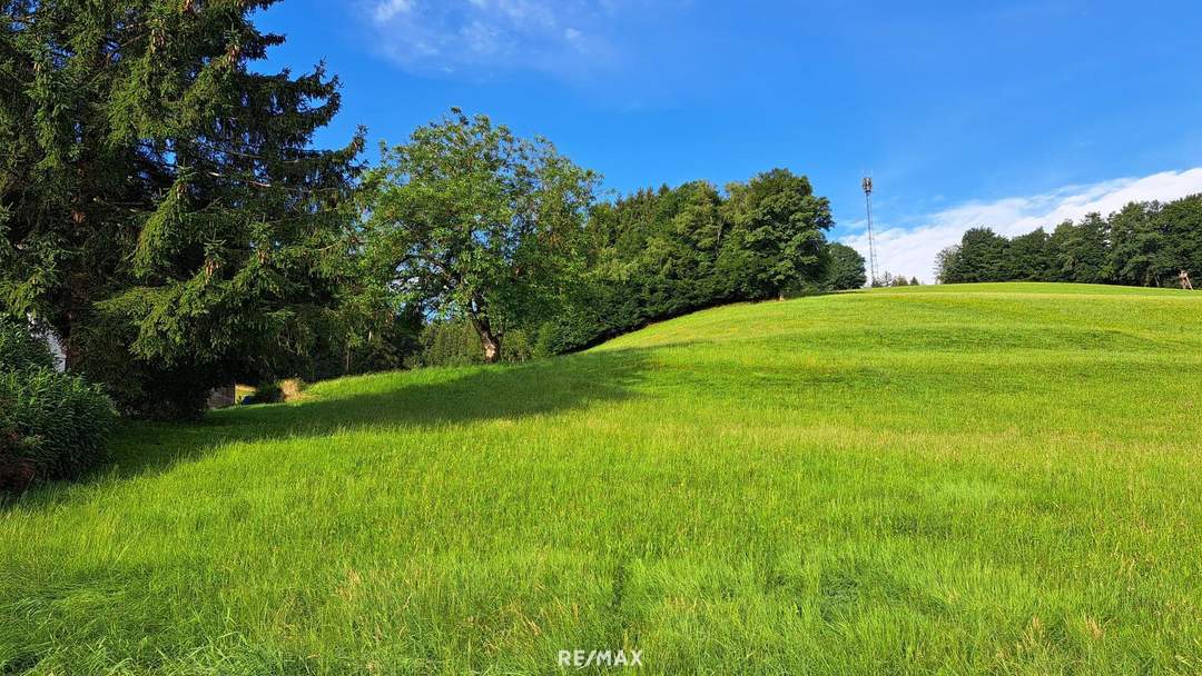 Baugrund ohne Bauzwang mit Teilungsoption