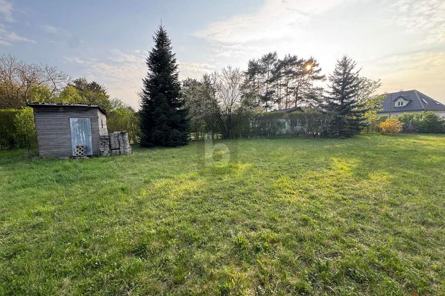 WUNDERSCHÖNES GROßES GRUNDSTÜCK IN RUHIGER UND GRÜNER LAGE, Grund und Boden-kauf, 369.000,€, 2230 Gänserndorf