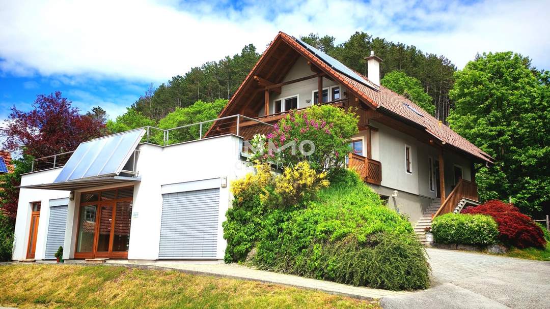 Grandiose Aussicht: Wohnen und Arbeiten in natürlichem Ambiente - Weinkeller und Garage