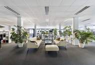 Bürofläche in Inzersdorf zu mieten