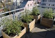 NEUER PREIS! Charmante Maisonette-Wohnung mit großer, sonniger Dachterrasse in Wiener Neudorf zum KAUF