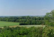 HERRLICHER AUSBLICK AN DER WAGRAMKANTE: MODERN, MASSIV & HOCHWERTIG WOHNEN IN DER WEINREGION MIT BESTER INFRASTRUKTUR