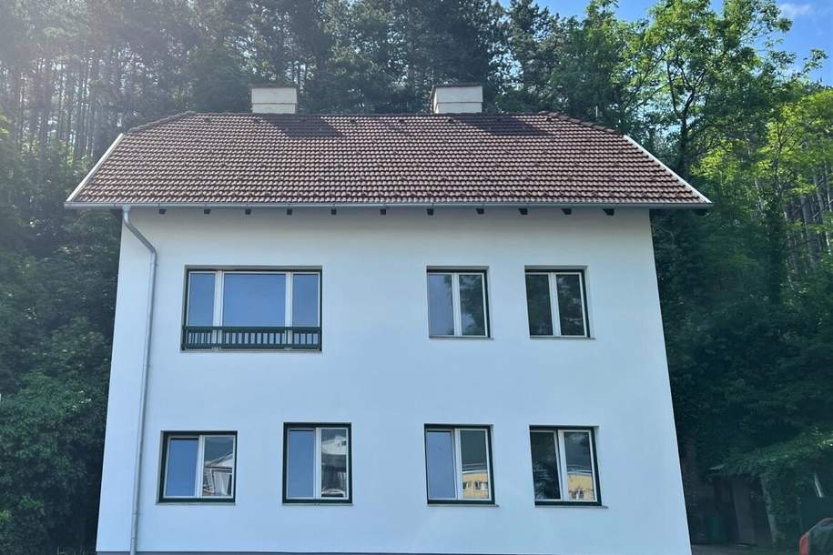 Zinshaus in Wimpassing, Gewerbeobjekt-kauf, 300.000,€, 2632 Neunkirchen