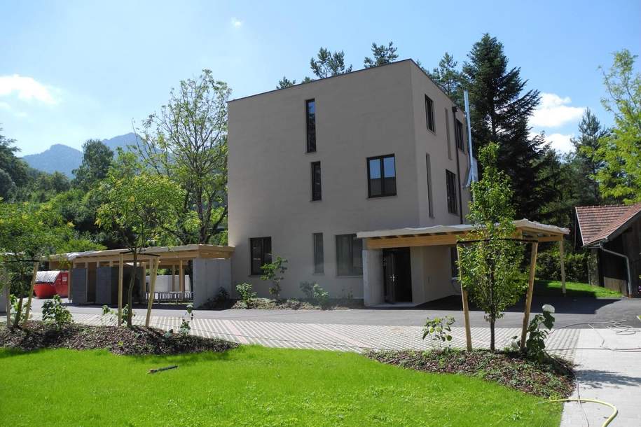 "Weihnachtsangebot" bis 31. 12. 2025 - HALBER PREIS - Historischer, renovierter Keller mit eigenem Außeneingang und LIFT und HEIZUNG !, Gewerbeobjekt-kauf, 40.000,€, 4644 Gmunden