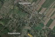 Verwilderter, mit alten Sorten bestückter Obstgarten im Moment als Wald gewidmet RODUNG bewilligt