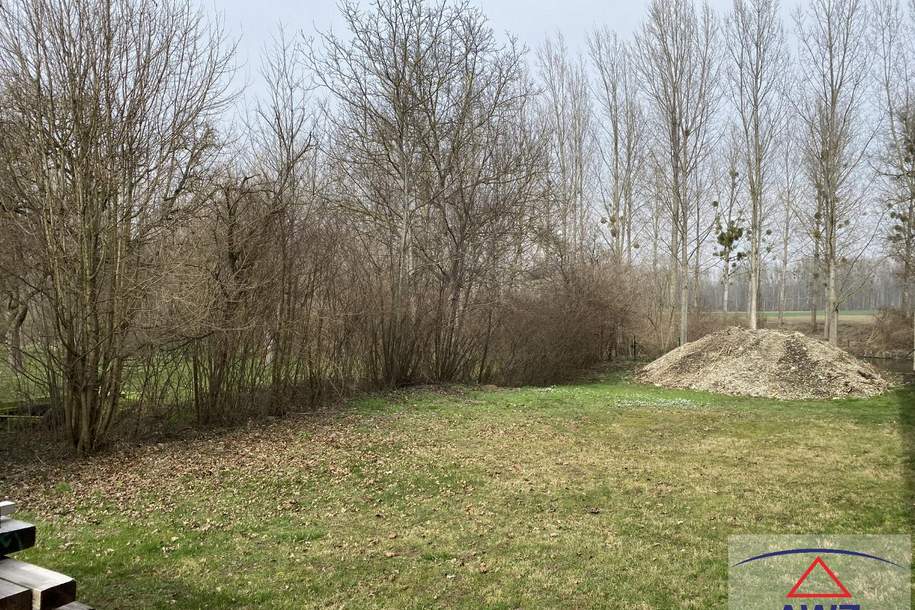 Günstiger Baugrund mit ca. 667 m² und ca. 34 m² Wald nähe Tulln, Grund und Boden-kauf, 3442 Tulln