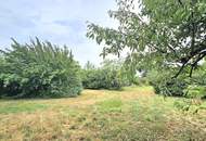 Bauträger oder Privatperson: Traumhaftes Grundstück mit Altbaumbestand in ruhiger Lage - teilbar