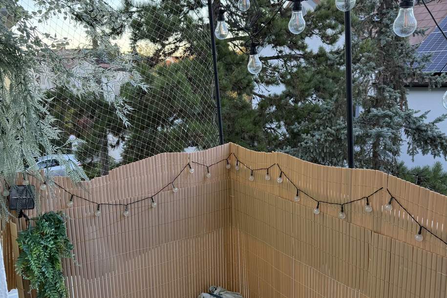 2 Zimmer & Balkon, Wohnung-miete, 800,00,€, 2340 Mödling