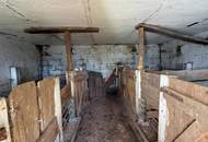 Neuer Preis! Ländliches Traumobjekt – Einfamilienhaus, Streckhof & Stallungen