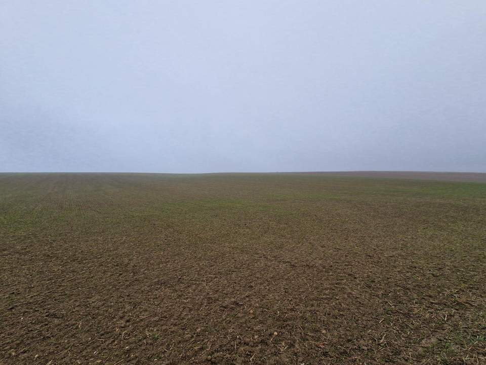 TOLLE ACKERFLÄCHE IN SÜDSEITIGER AUSRICHTUNG MIT GUTER BONITÄT IN GROßMUGL