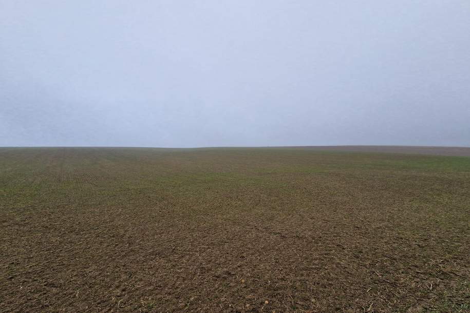 TOLLE ACKERFLÄCHE IN SÜDSEITIGER AUSRICHTUNG MIT GUTER BONITÄT IN GROßMUGL, Grund und Boden-kauf, 230.632,€, 2002 Korneuburg