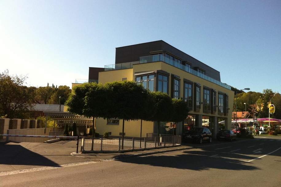 *Exklusive Gewerbeflächen im Herzen von Gamlitz zu vermieten*, Gewerbeobjekt-miete, 960,00,€, 8462 Leibnitz