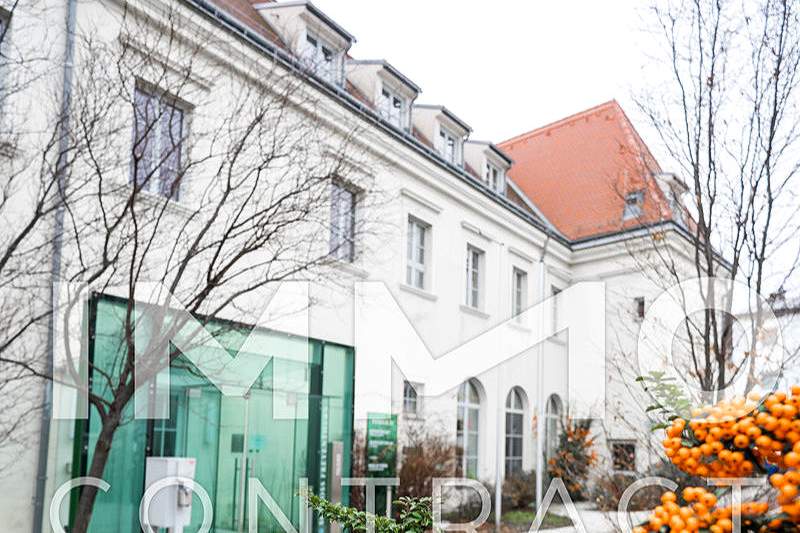 Außergewöhnliche Wohnung in revitalisiertem Schloss nahe Wien, Wohnung-kauf, 858.000,€, 2320 Bruck an der Leitha