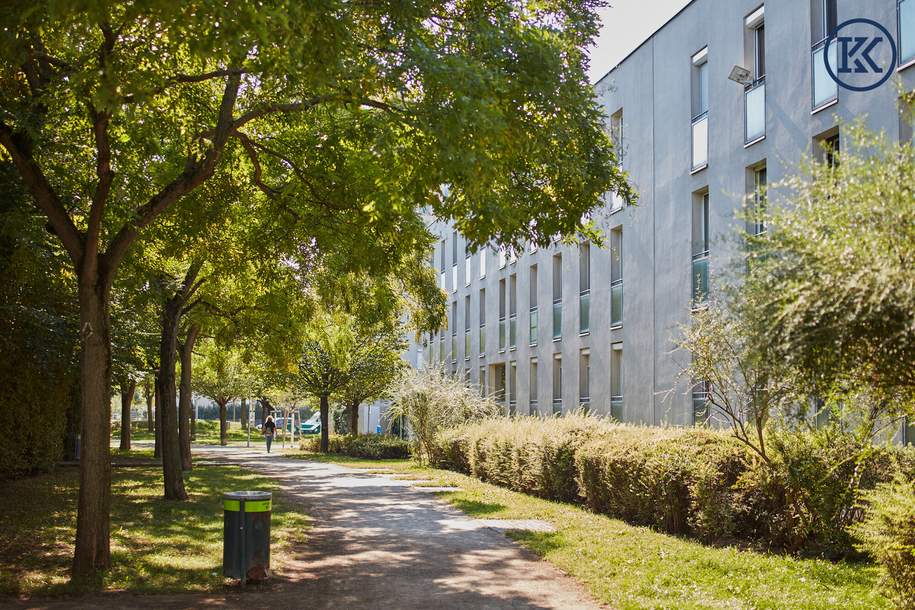 Sonniges DG-Juwel in Ruhelage: Loggia, Parkblick & nahe U2 Aspernstraße, Wohnung-miete, 1.300,00,€, 1220 Wien 22., Donaustadt