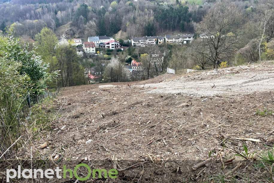 Grundstück in Hanglage in Kaltenleutgeben, Grund und Boden-kauf, 425.000,€, 2391 Mödling