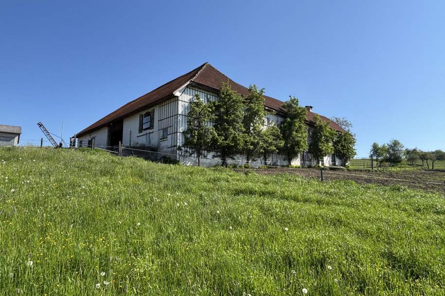 Bauernhof mit ca. 18,7 ha arrondierten landwirtschaftlichen Nutz- und Waldgrund, Haus-kauf, 1.200.000,€, 4084 Grieskirchen