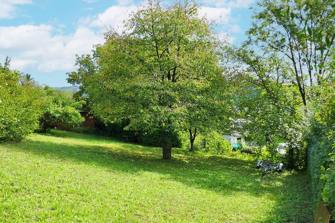 Baugrund auf leichtem Südhang in idyllischer Lage in Tulln-Nähe