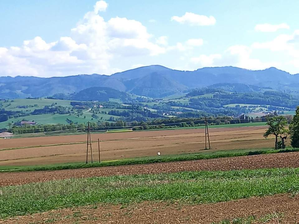 1.531 m² Hang-Baugrundstück aufgeschlossen, OHNE Bauzwang und OHNE Bebauungsplan!