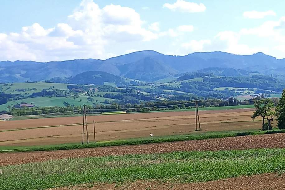 Aussichts-Hang-Baugrundstück aufgeschlossen, OHNE Bauzwang und OHNE Bebauungsplan!, Grund und Boden-kauf, 240.367,€, 4522 Steyr-Land