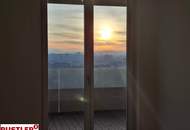 SILVESTER MIT FERNBLICK