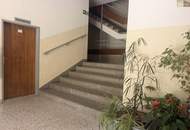 1 Zimmer Wohnung am Doblhofpark