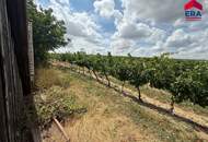 Preisreduzierung: Charmantes Presshaus mit Weinkeller – Ihr Rückzugsort im Weinviertel
