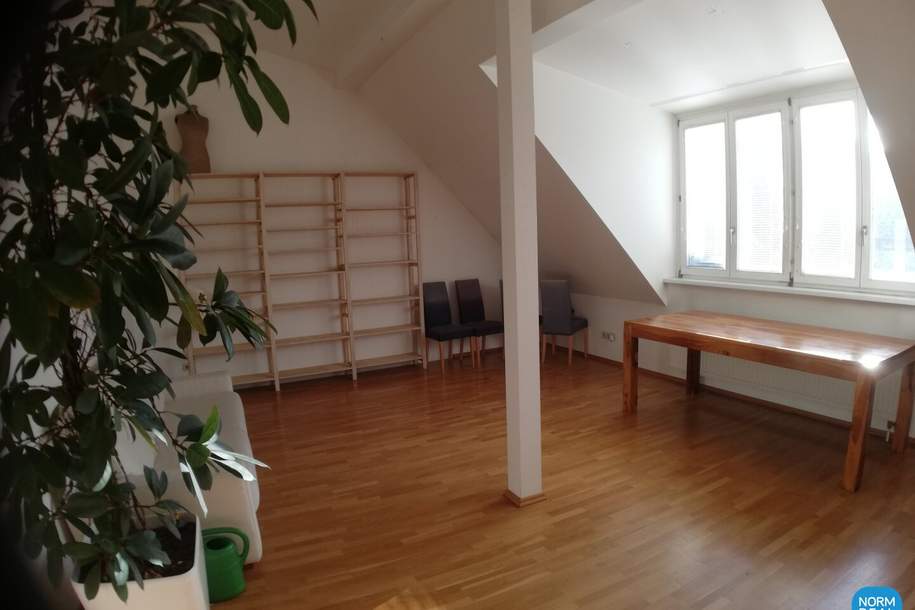 Helle 2 Zimmer DG Wohnung Altbau für Sportler, Wohnung-miete, 940,00,€, 1080 Wien 8., Josefstadt