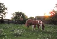 Sonniges Familienparadies für Pferdehalter und Naturliebhaber!