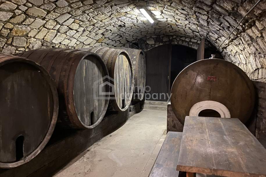 Traditionelles Bauernhaus mit historischem Weinkeller, Haus-kauf, 440.000,€, 2425 Neusiedl am See