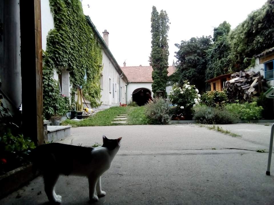 Innenhofwohnung beim Wienertor innerhalb der Stadtmauer