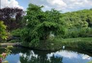 FAMILIENDOMIZIL MIT SCHWIMMTEICH