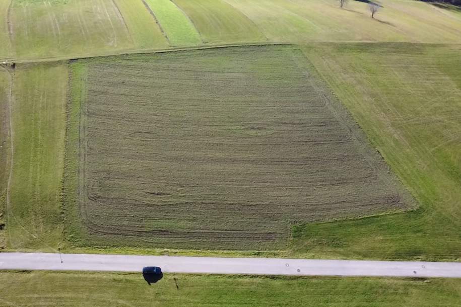 Ihr Platz fürs Eigenheim – Ruhige Baugrundstücke in Rohrbach, Grund und Boden-kauf, 4150 Rohrbach
