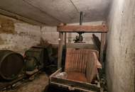 Viel Platz, viele Möglichkeiten – Haus mit Nebengebäuden in Penzendorf bei Hartberg Steiermark