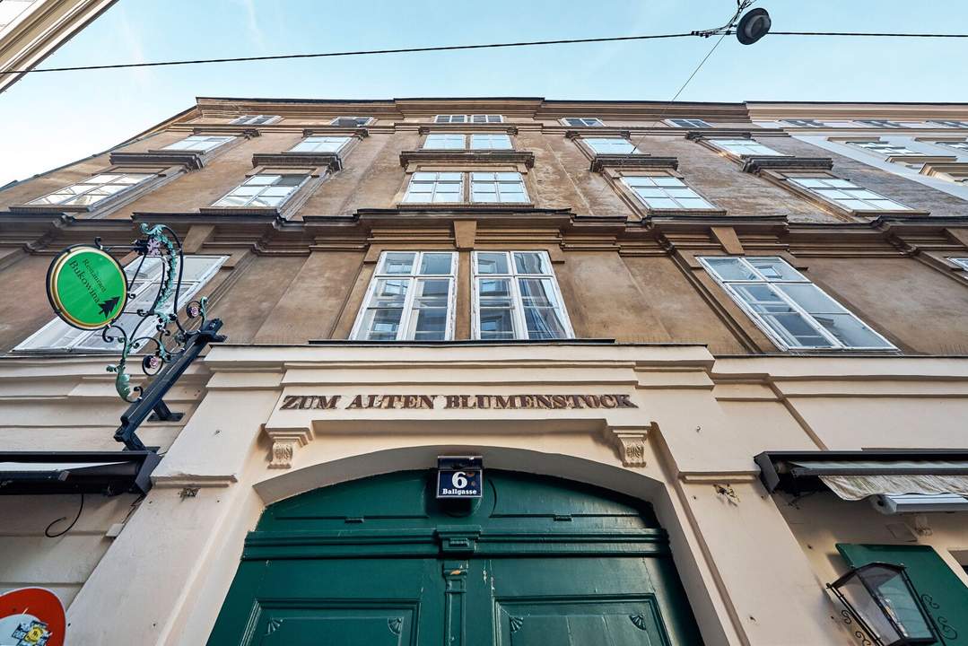 Ideal für Expats! Voll möbliertes Designer-Apartment in denkmalgeschütztem Gebäude im Herzen der Altstadt!