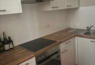 Repräsentiert Altbau Büro