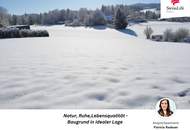 Jetzt handeln, Frühling nutzen - Traumgrundstück nahe Hofer Strandbad