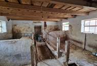 Sanierungsbedürftiges Bauernhaus – Raum für Ihre Verwirklichung