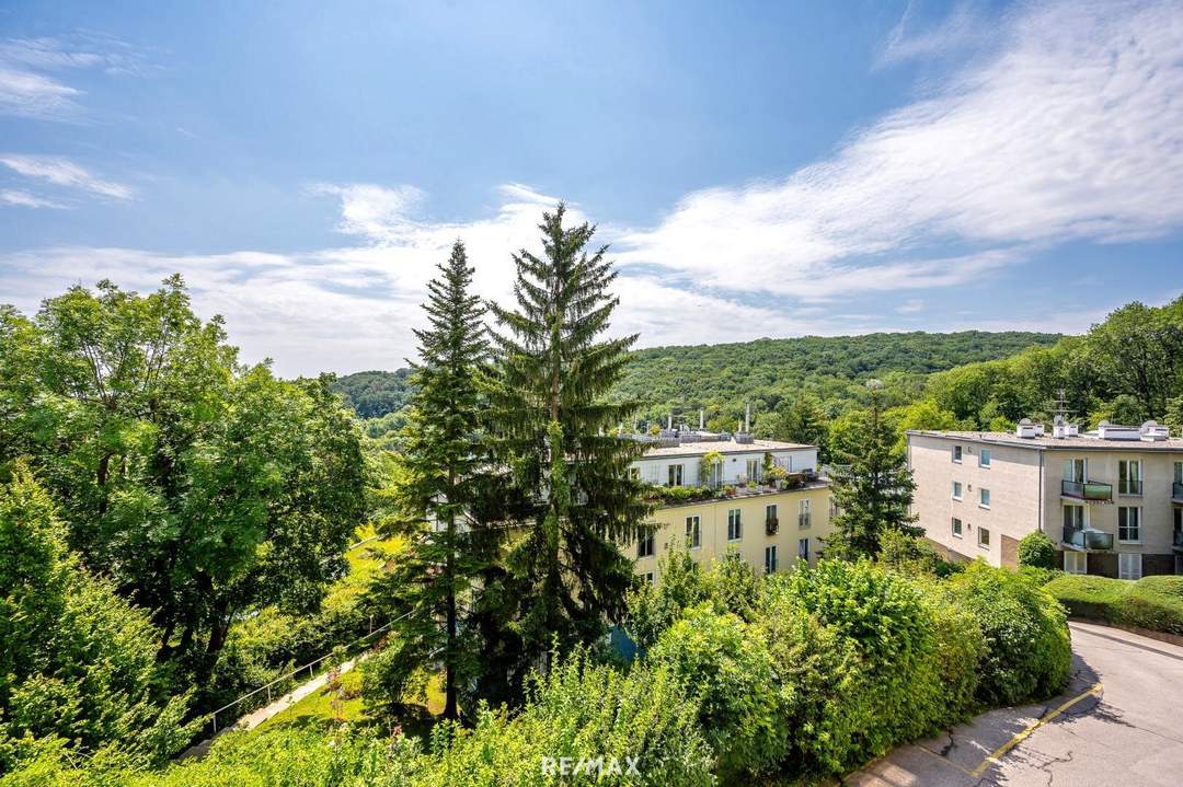 3 Zimmer Wohnung | Pötzleinsdorf | Grünruhelage | Fernblick