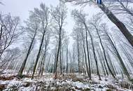 Bungalow mit direktem Zugang zum Wienerwald – Ruhe, Komfort und Natur nur 20 Minuten von Wien entfernt