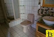 15414 - Singlewohnung im Zentrum
