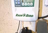 Anleger aufgepasst: gepflegtes Zweifamilienhaus auf großem Grundstück