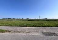 Ebener Baugrund in sonniger Ortsrandlage