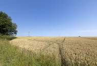 Landwirtschaftliche Fläche - Acker