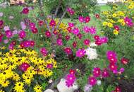 3-Zimmer-Wohnung mit Tiefgaragenplatz und zwei Loggien - Ost- und West-Ausrichtung