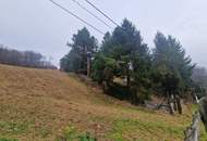 SONNIGE LEBENSQUALITÄT: ZWEI BAUGRUNDSTÜCKE IN WEIDLINGBACH MIT HOHER LEBENSQUALITÄT OHNE BAUZWANG