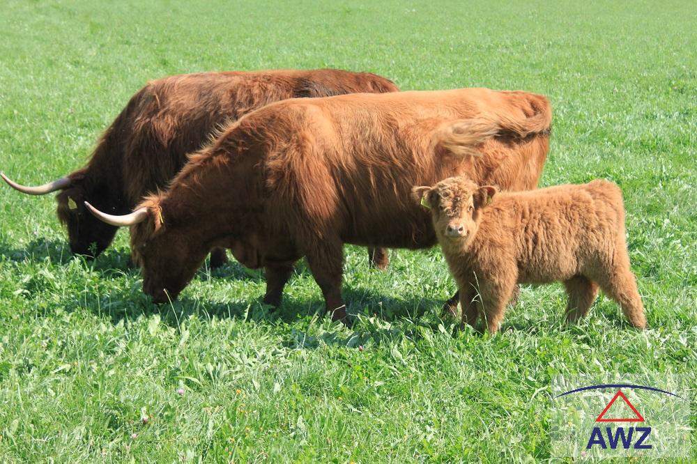 Bauernhof mit Vielfalt im Bezirk Braunau!